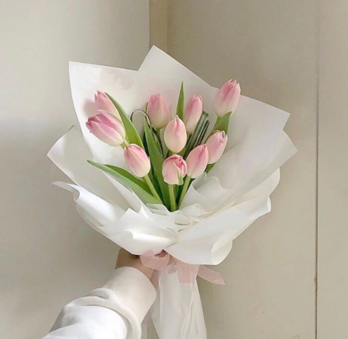 user-img